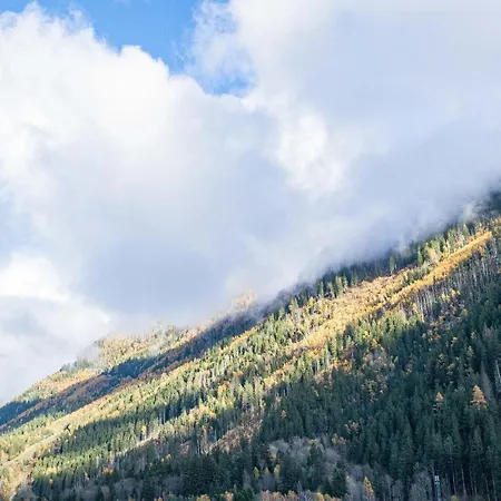 Διαμέρισμα Chamour - A Duplex With Mont-blanc View